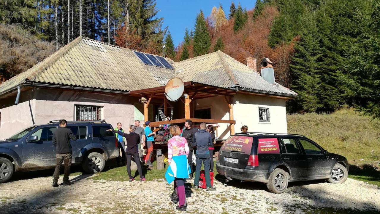 Cabana Pietricica Dîmbovicioara Exteriér fotografie