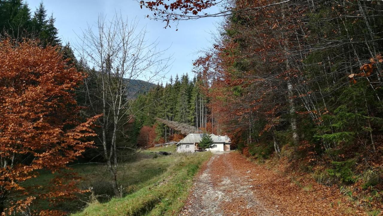 Cabana Pietricica Dîmbovicioara Exteriér fotografie