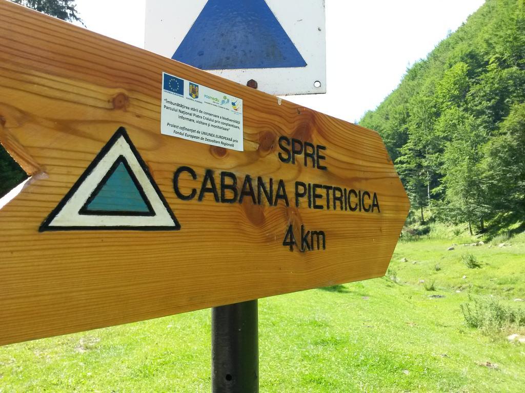 Cabana Pietricica Dîmbovicioara Exteriér fotografie