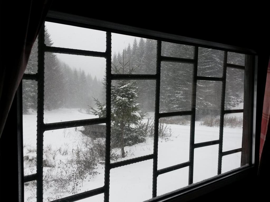 Cabana Pietricica Dîmbovicioara Exteriér fotografie