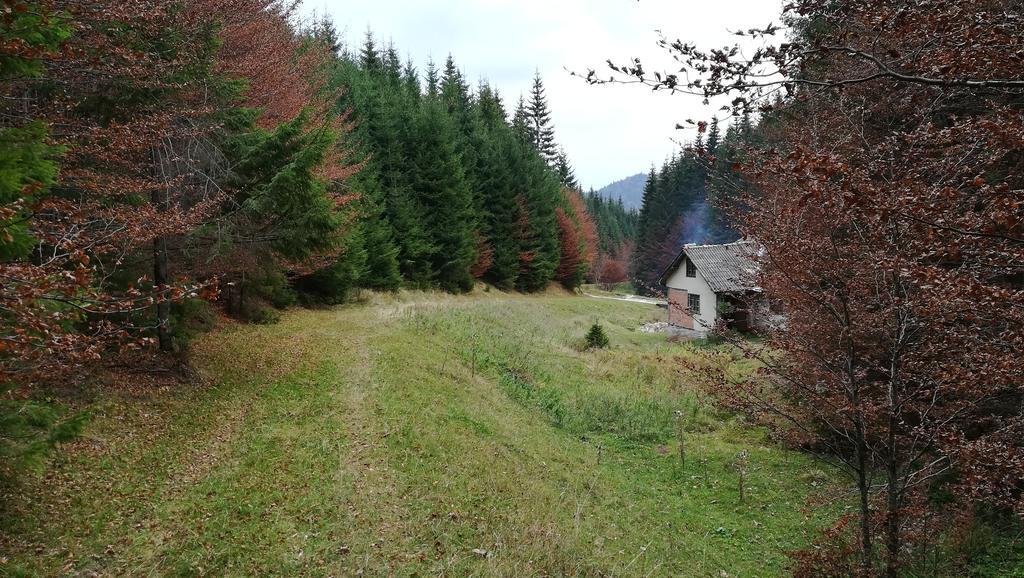 Cabana Pietricica Dîmbovicioara Exteriér fotografie
