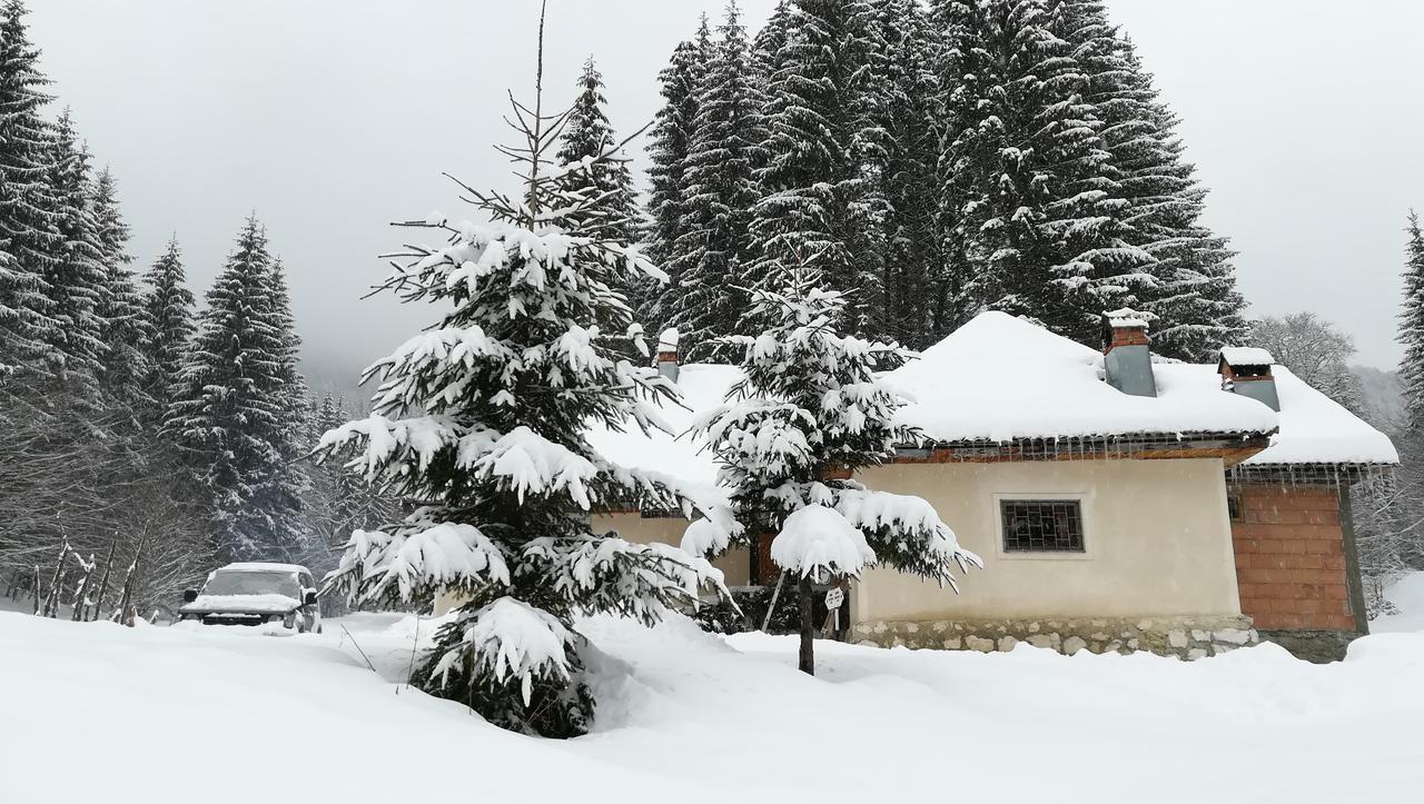 Cabana Pietricica Dîmbovicioara Exteriér fotografie