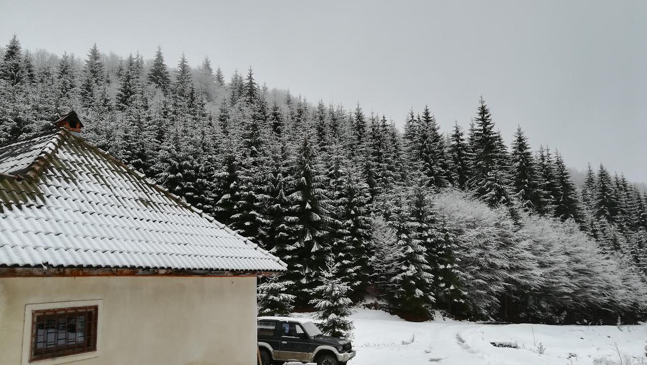 Cabana Pietricica Dîmbovicioara Exteriér fotografie
