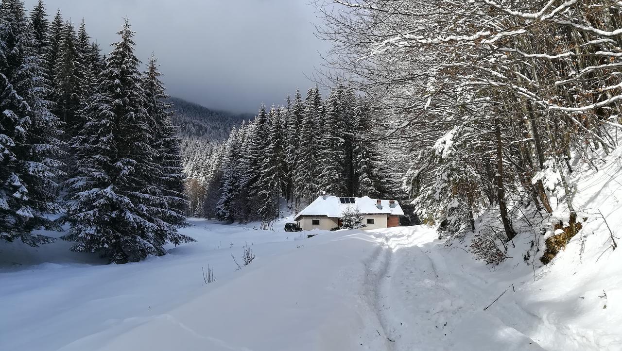 Cabana Pietricica Dîmbovicioara Exteriér fotografie