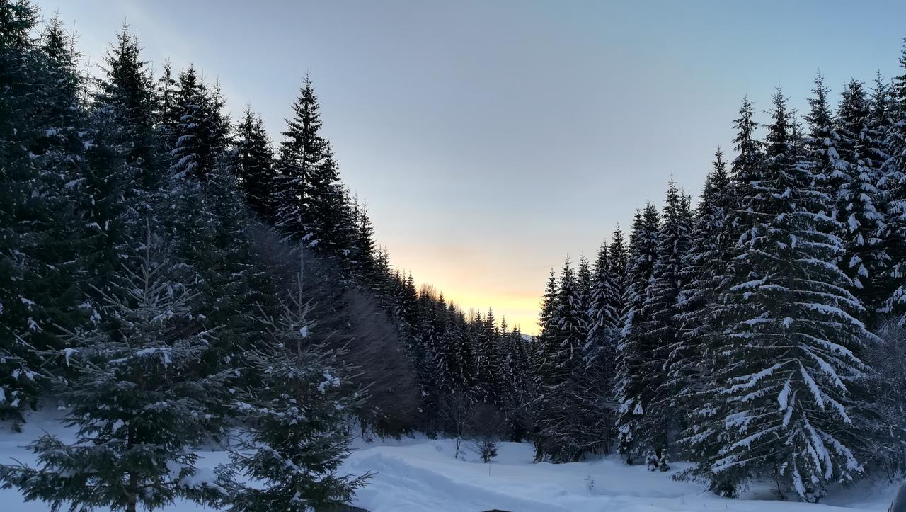 Cabana Pietricica Dîmbovicioara Exteriér fotografie