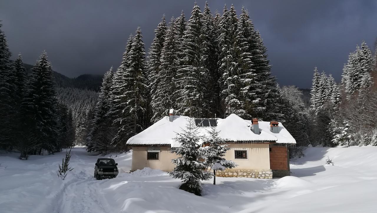 Cabana Pietricica Dîmbovicioara Exteriér fotografie