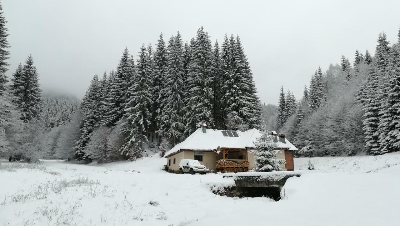 Cabana Pietricica Dîmbovicioara Exteriér fotografie