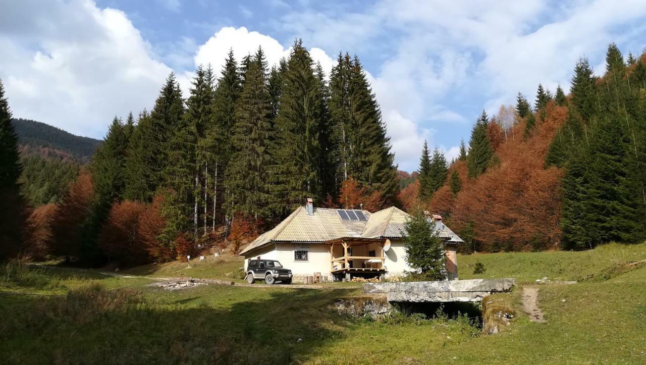 Cabana Pietricica Dîmbovicioara Exteriér fotografie