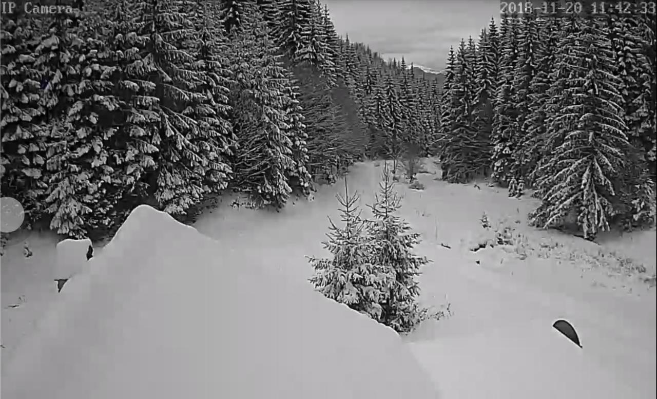 Cabana Pietricica Dîmbovicioara Exteriér fotografie