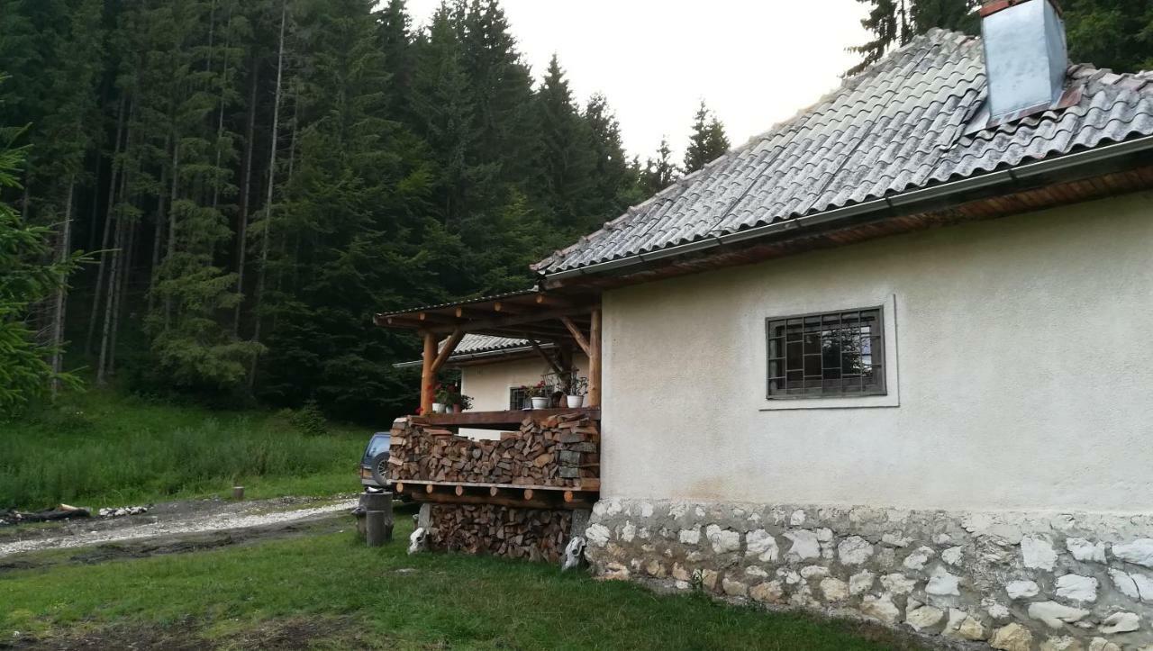 Cabana Pietricica Dîmbovicioara Exteriér fotografie