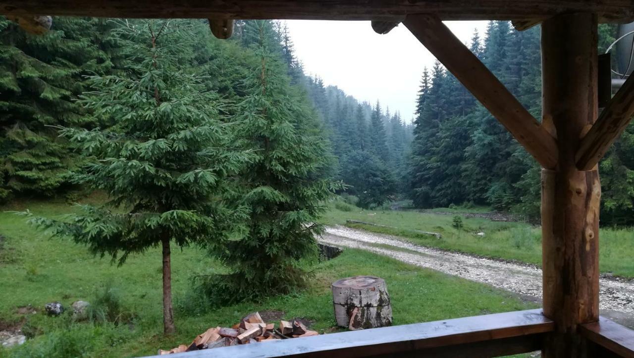 Cabana Pietricica Dîmbovicioara Exteriér fotografie