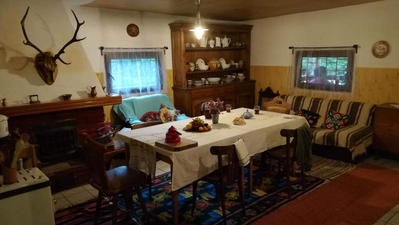 Cabana Pietricica Dîmbovicioara Exteriér fotografie