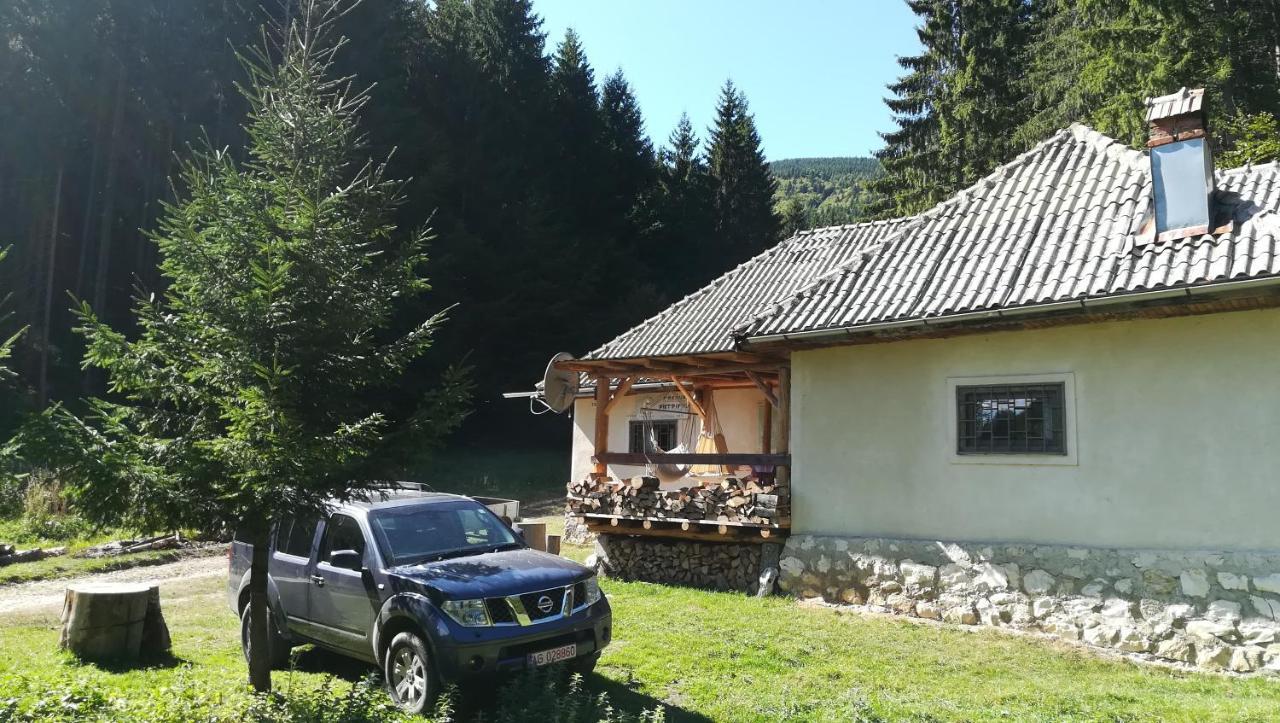 Cabana Pietricica Dîmbovicioara Exteriér fotografie