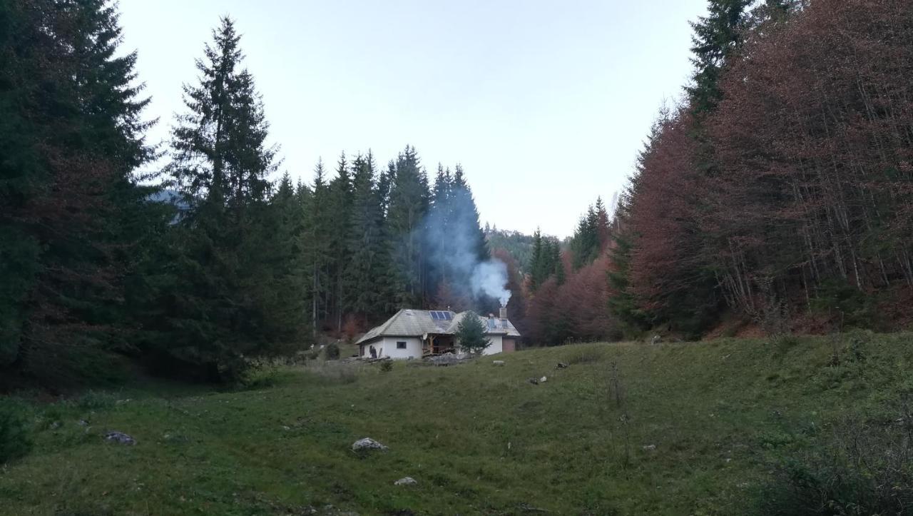 Cabana Pietricica Dîmbovicioara Exteriér fotografie